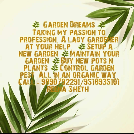 PVS_2021_A1079 image