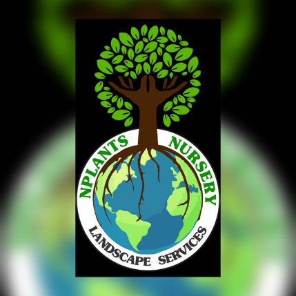 PVS_2021_A1261 image