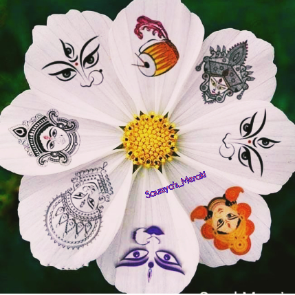 PVS_2021_A1296 image