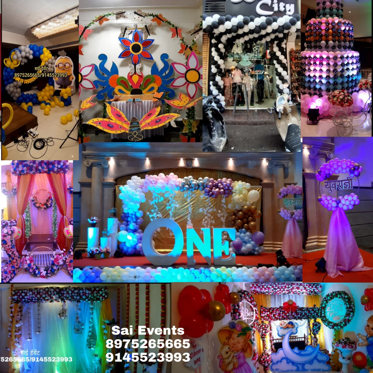 PVS_2021_A1343 image