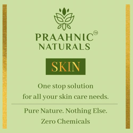 PVS_2021_A1334 image