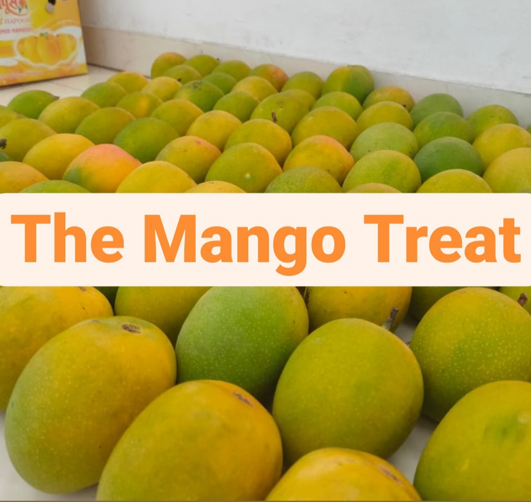 PVS_2021_A1356 image