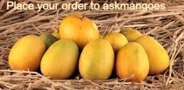 PVS_2021_A1368 image