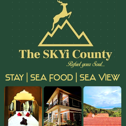 PVS_2021_A1372 image