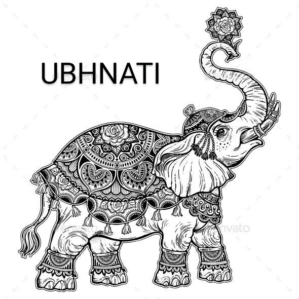 PVS_2021_A1479 image