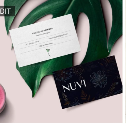 PVS_2021_A1739 image