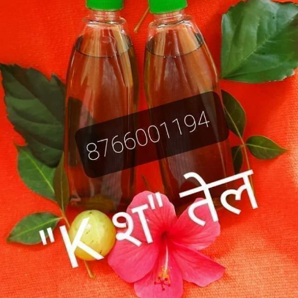 PVS_2021_A2007 image