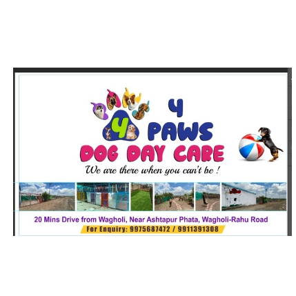 PVS_2021_A1994 image