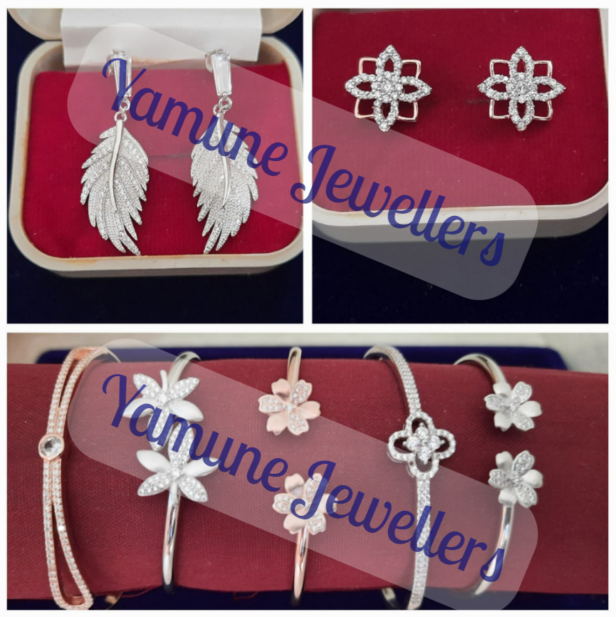 PVS_2021_A2071 image