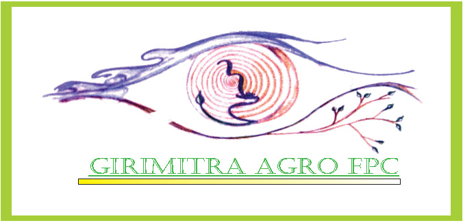 PVS_2021_A2165 image