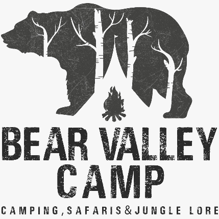 PVS_2021_A2230 image