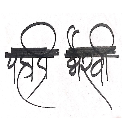 PVS_2021_A2296 image