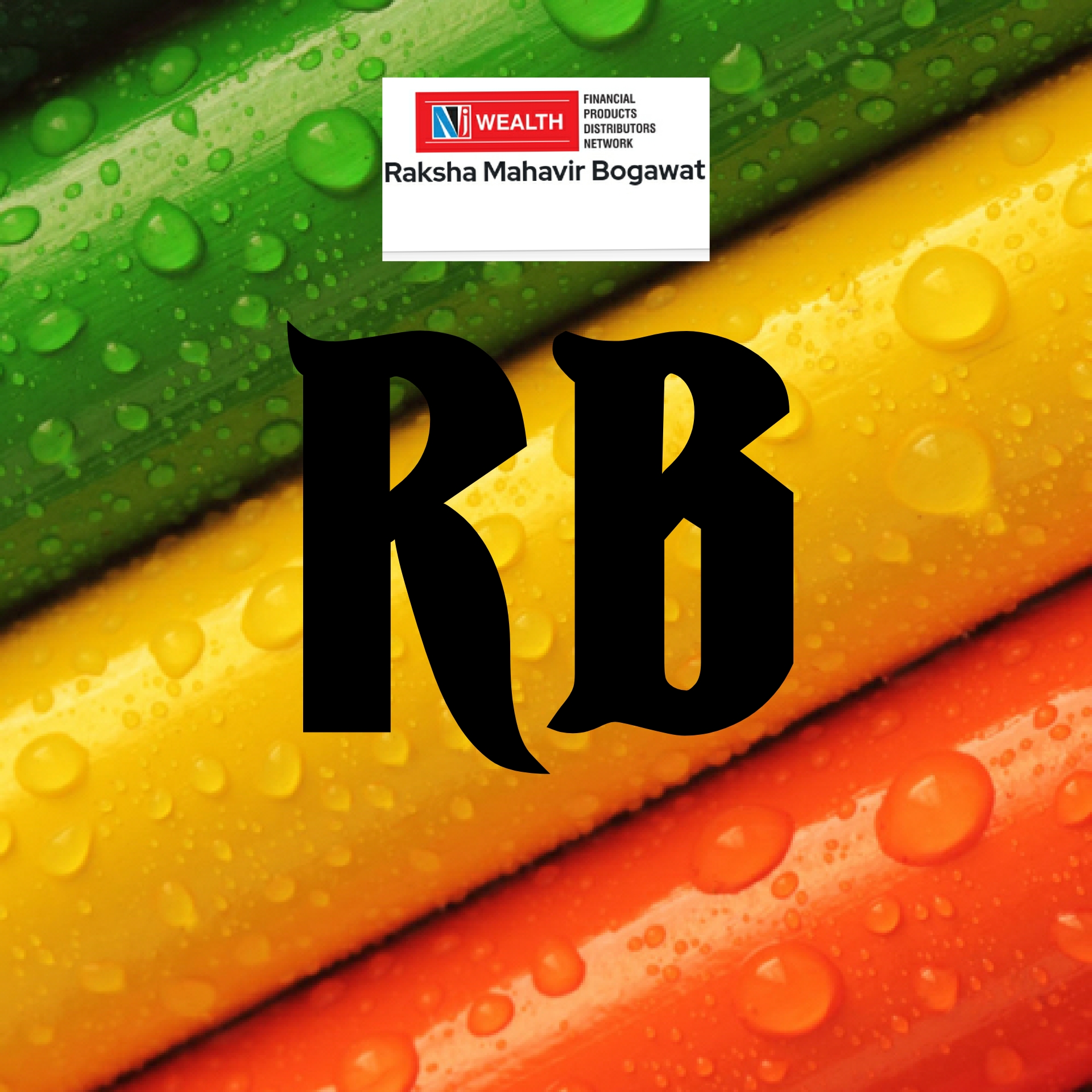 PVS_2021_A2308 image