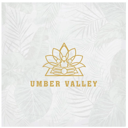 PVS_2021_A2398 image