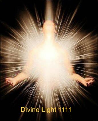 PVS_2021_A2543 image