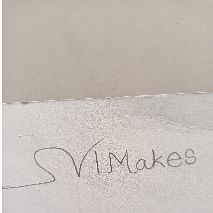 PVS_2021_A2571 image