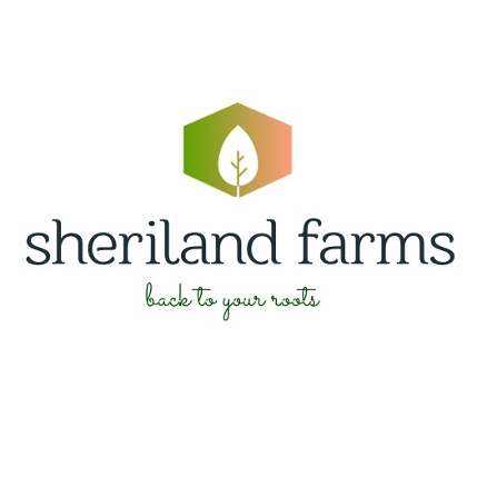 PVS_2021_A2679 image