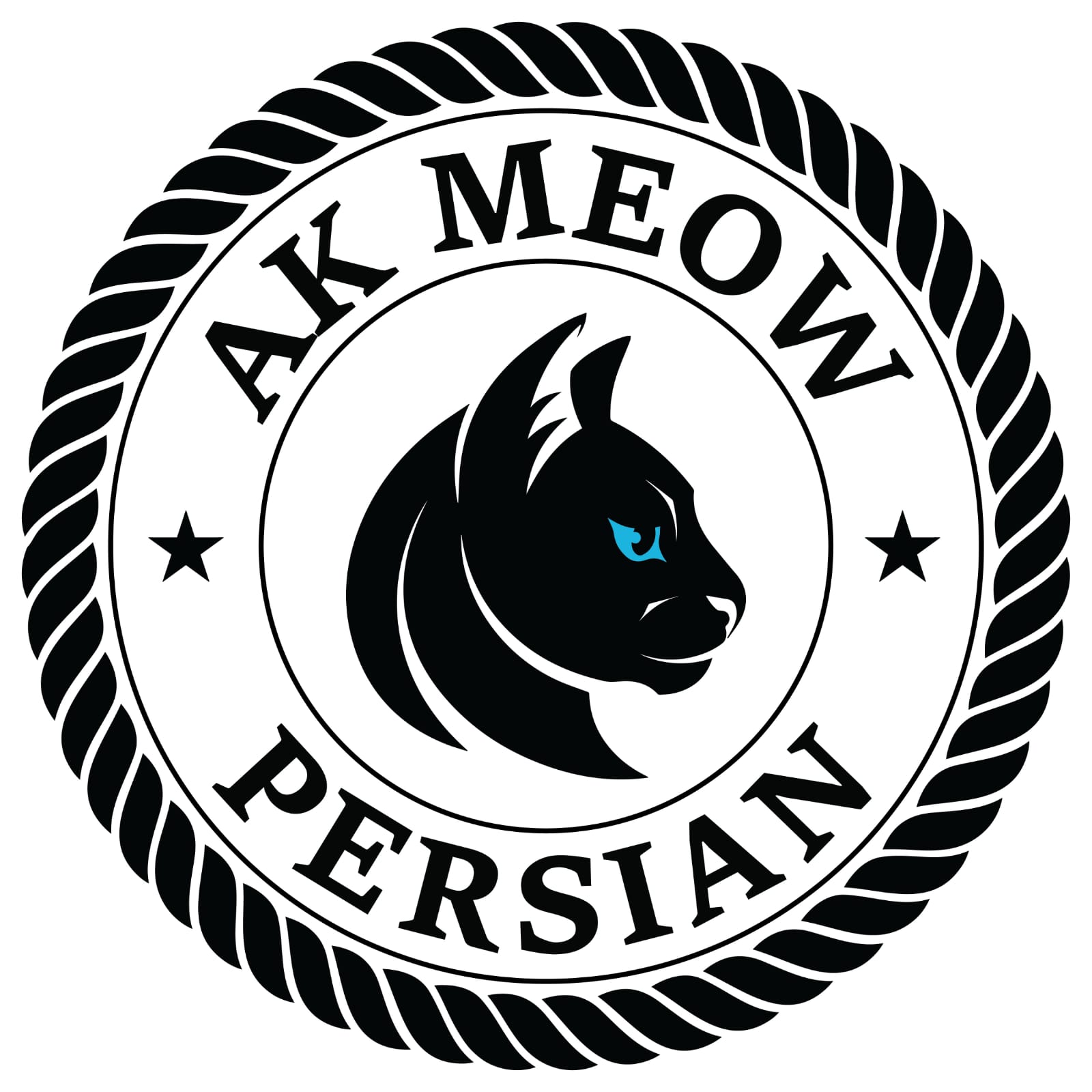 PVS_2021_A2721 image