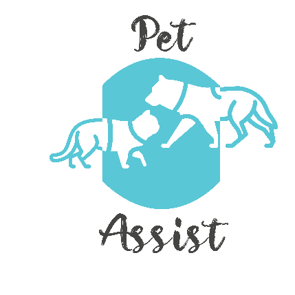 PVS_2021_A2910 image