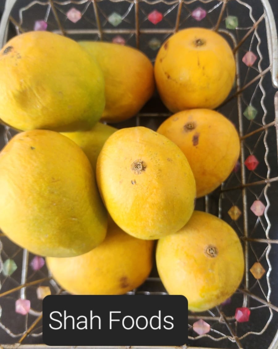 PVS_2021_A2999 image