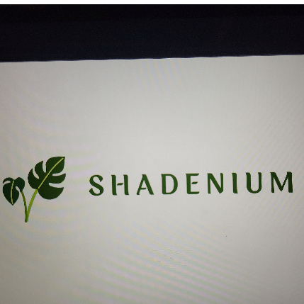 PVS_2021_A3058 image