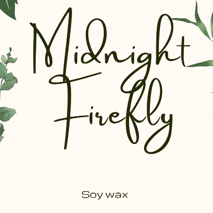 PVS_2021_A3319 image