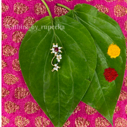 PVS_2021_A3320 image