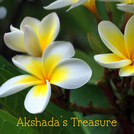 PVS_2021_A3359 image