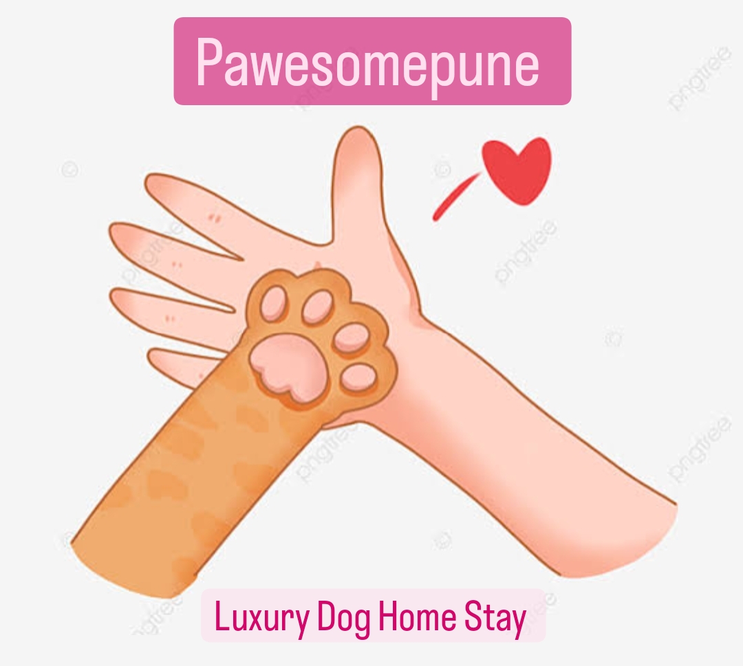 PVS_2021_A3468 image