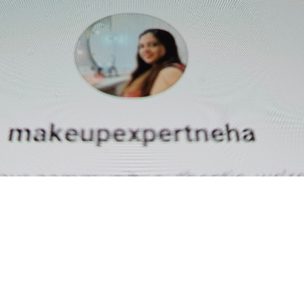 PVS_2021_A3908 image