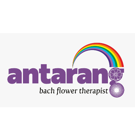 PVS_2021_A3760 image