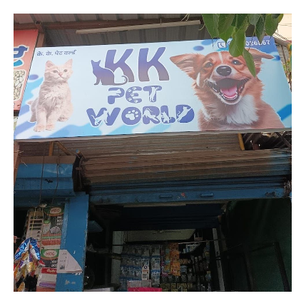 PVS_2021_A4155 image