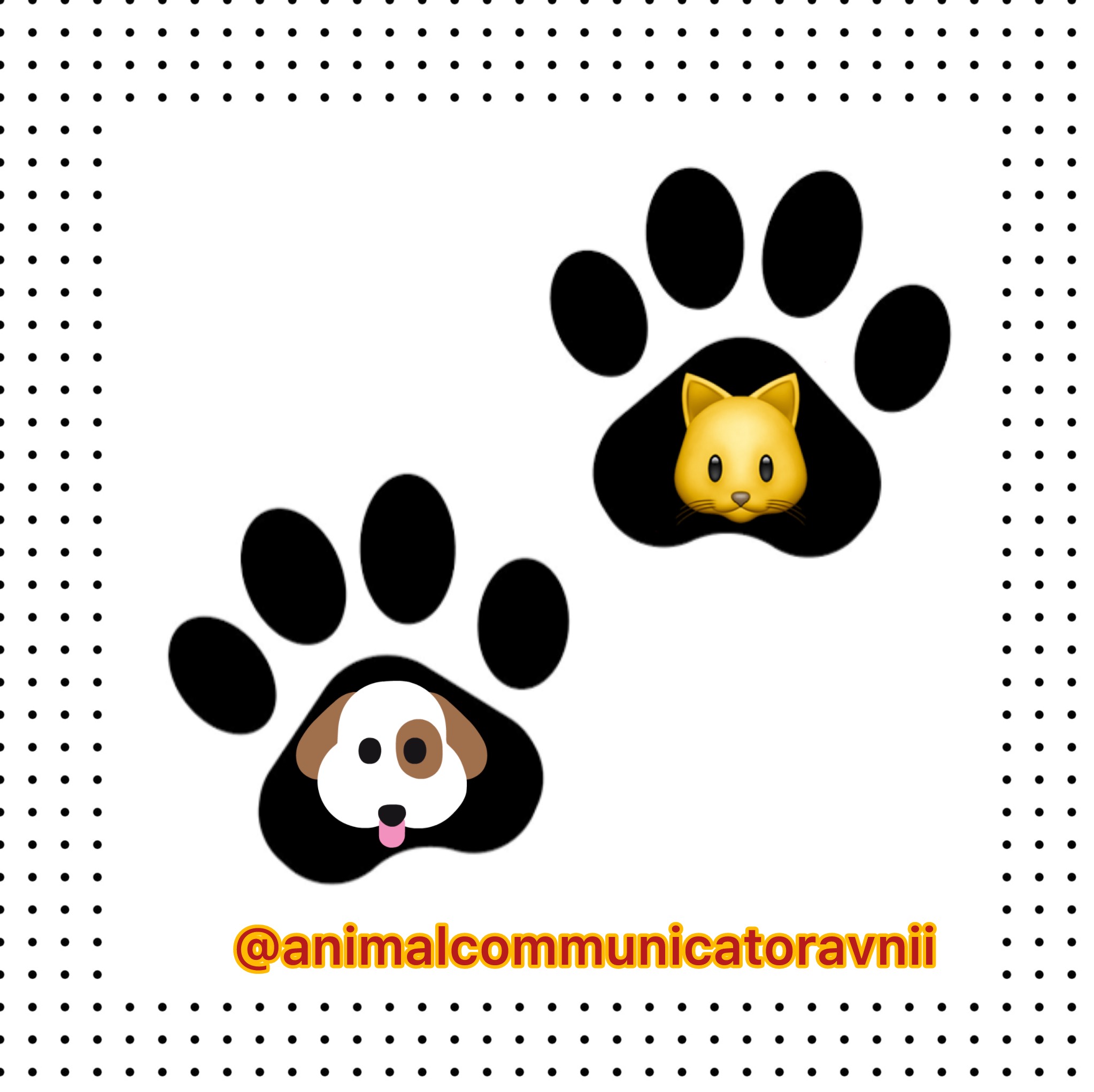 PVS_2021_A4314 image