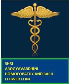 PVS_2021_A4478 image