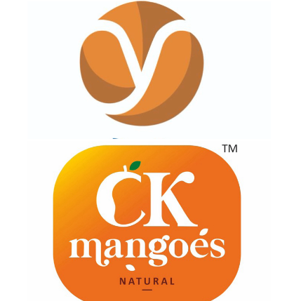 PVS_2021_A4530 image