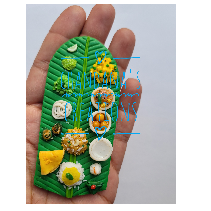 PVS_2021_A4549 image