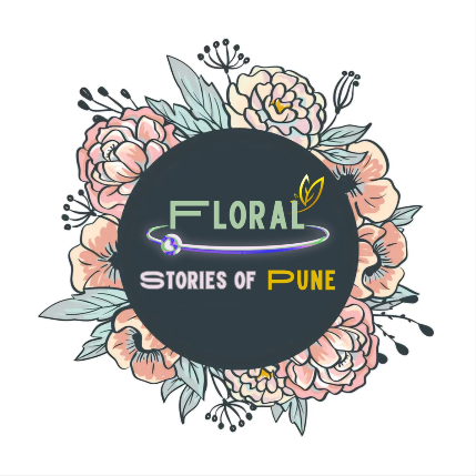 PVS_2021_A6164 image