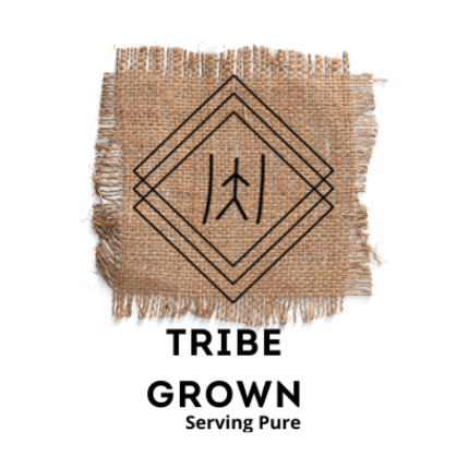 PVS_2021_A6126 image