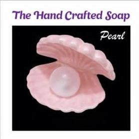 PVS_2021_A6415 image