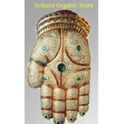 PVS_2021_A6424 image