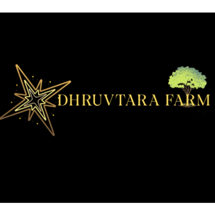 PVS_2021_A6717 image