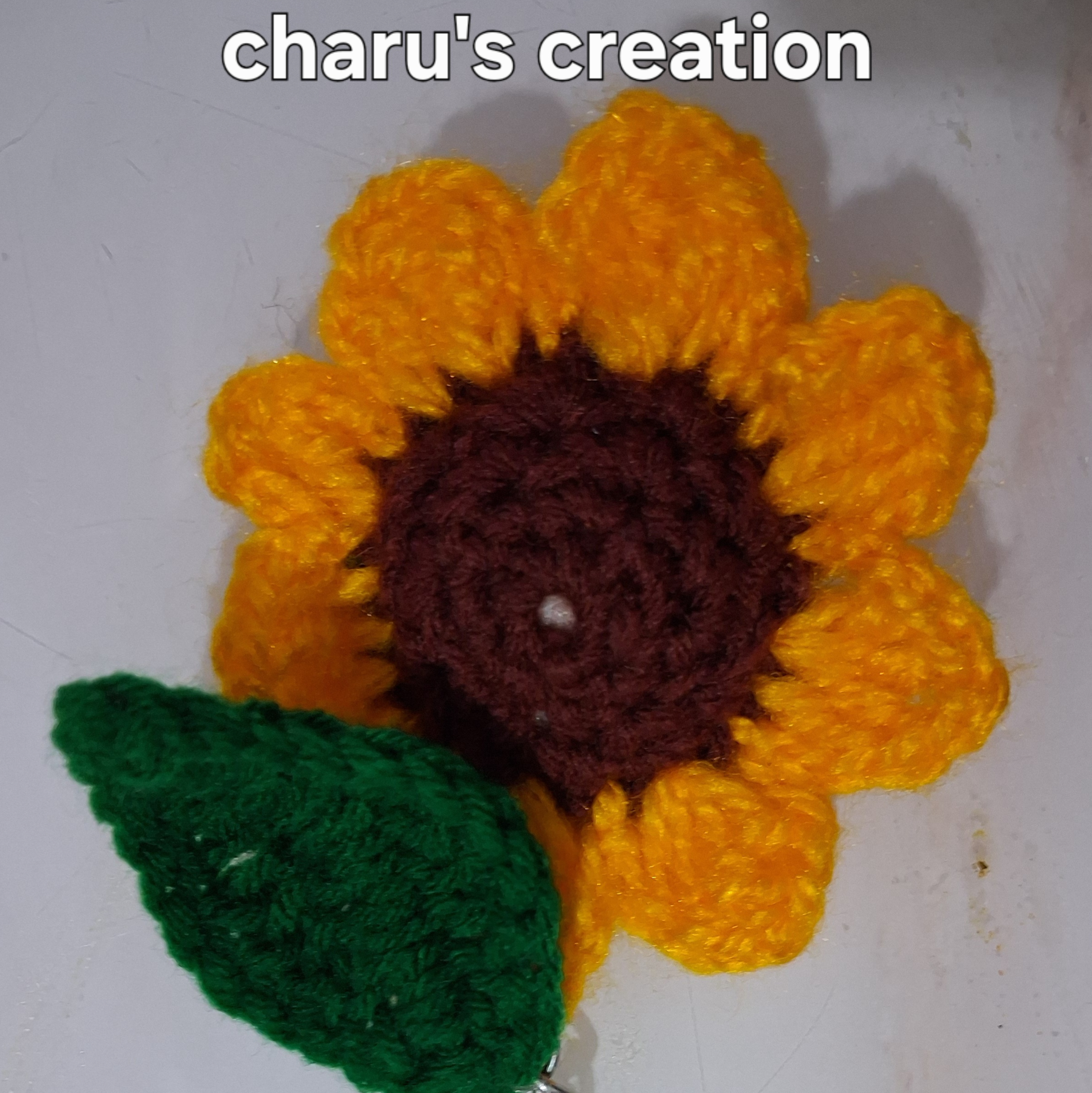 PVS_2021_A6905 image