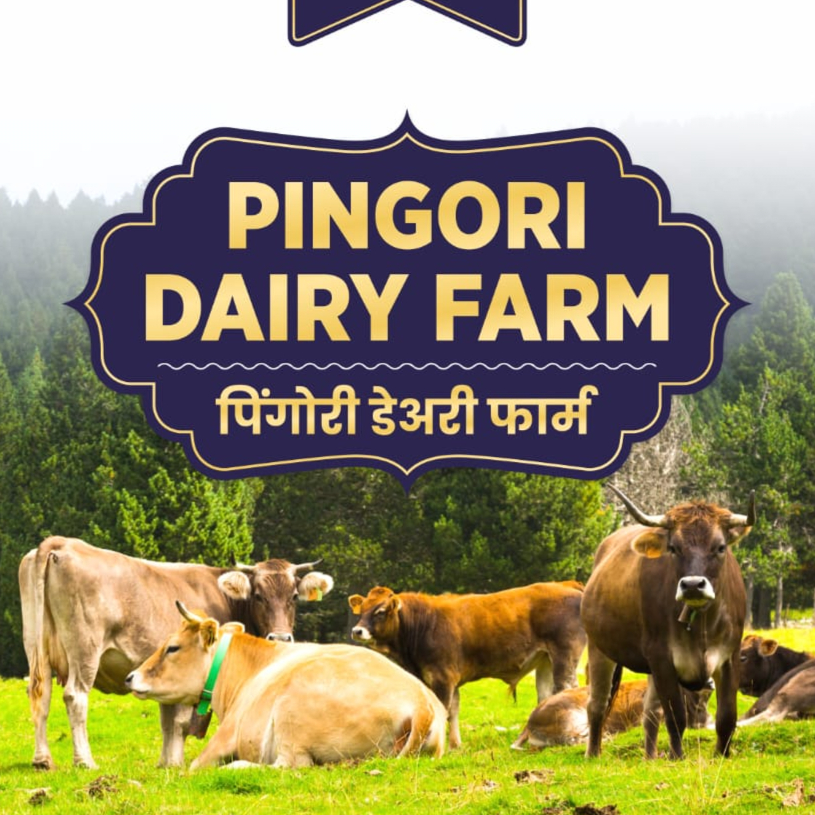 PVS_2021_A7033 image