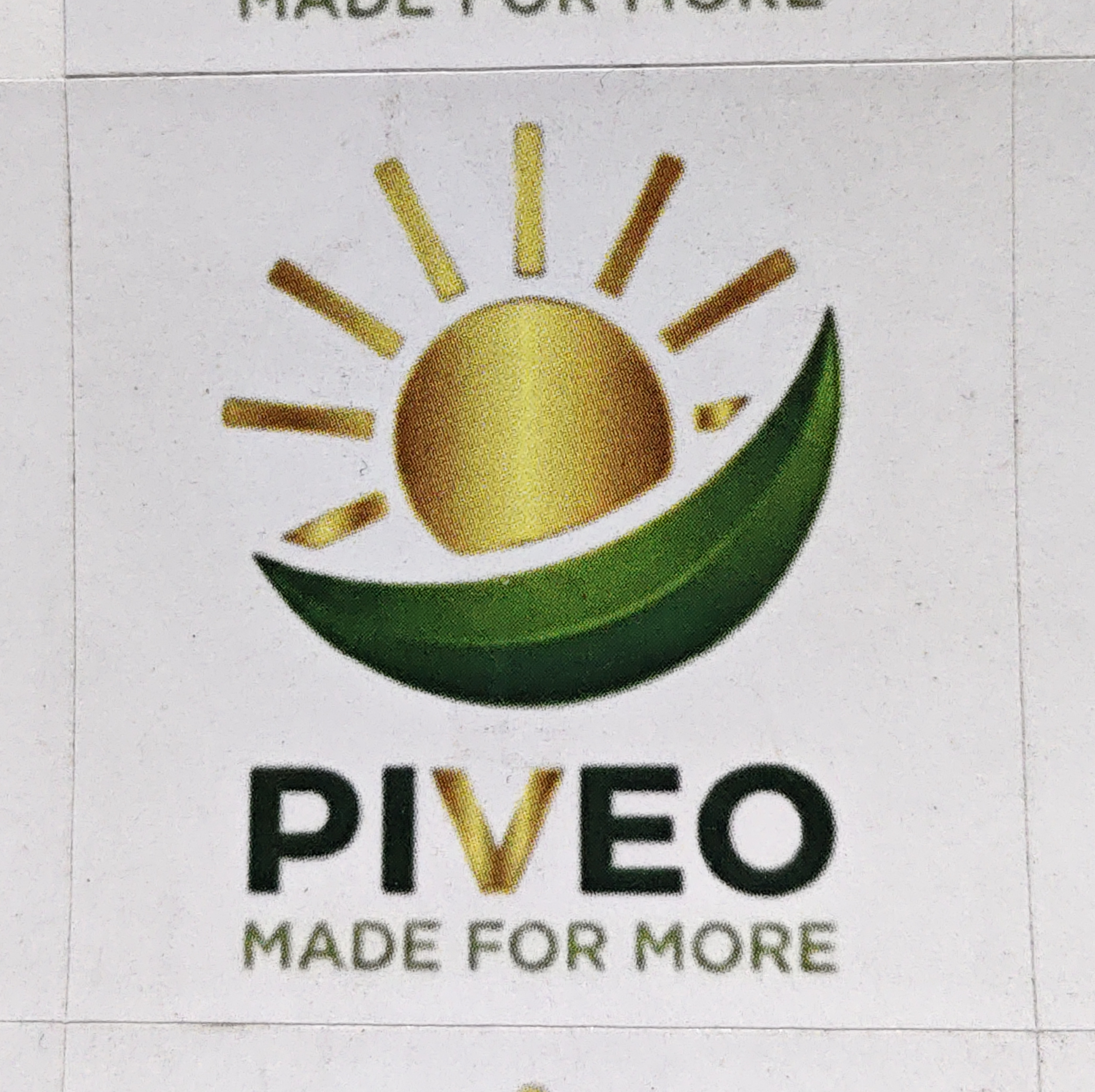 PVS_2021_A7073 image