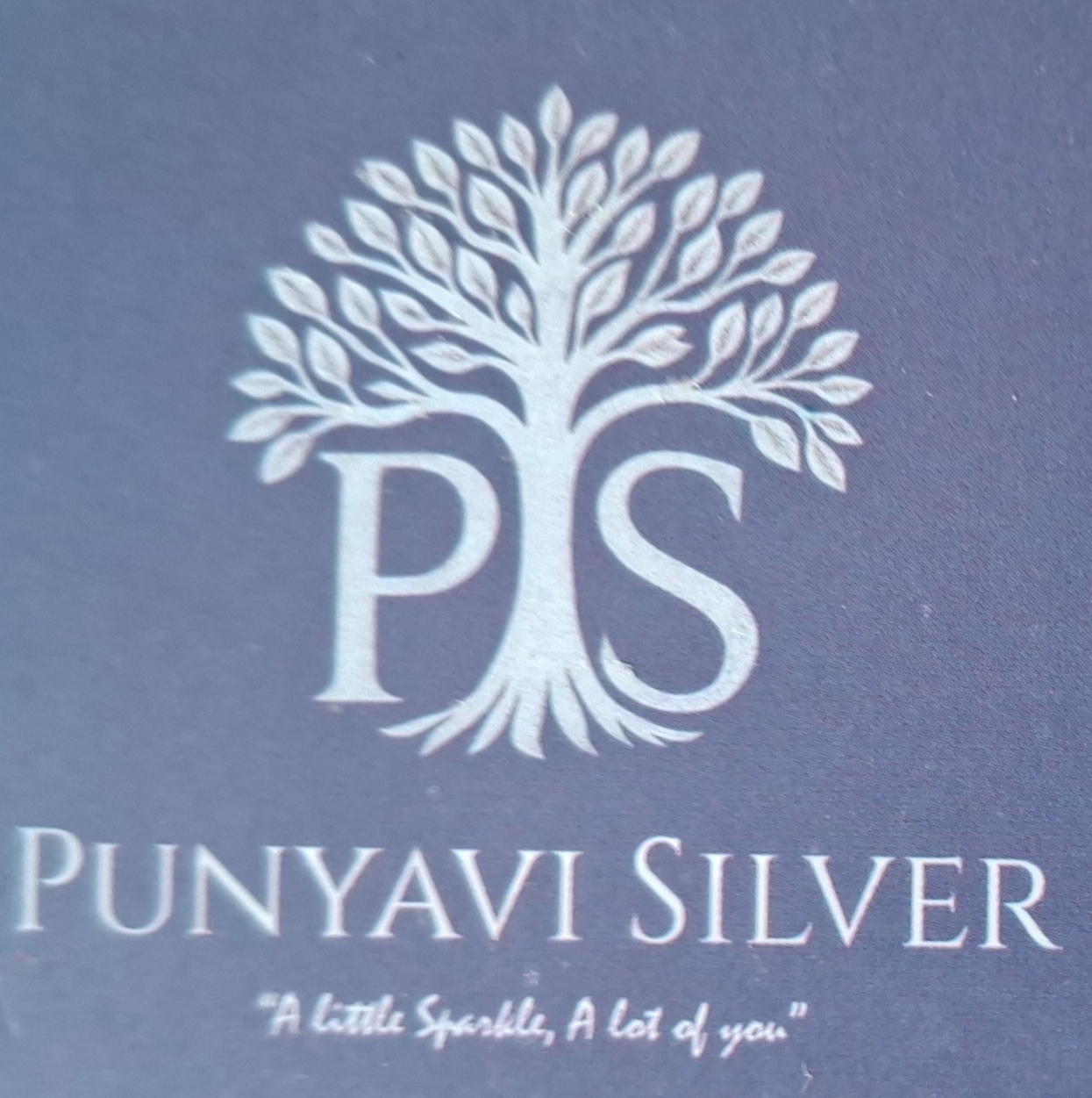 Punyavi Silver